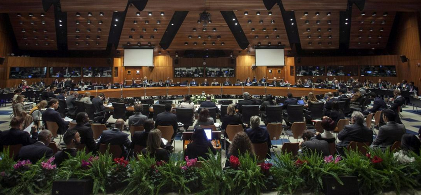 Photo: WFP/Giulio Napolitano