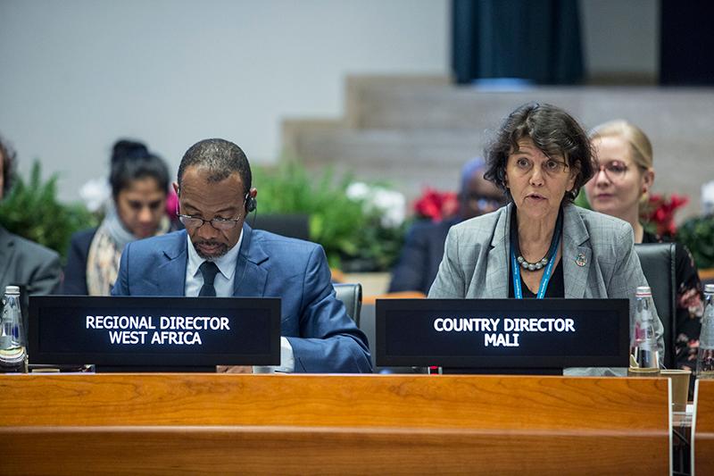 Wednesday afternoon session. Photo Credit: WFP/Giulio Napolitano