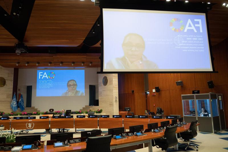 WFP HQ Rome, 22 June 2021 - Impacting Nutrition through a Fresh Food Voucher Programme in Ethiopia.  Side event on the margins of the Annual regular session of the Executive Board, 2021  In the photo: Intervention by Ms Fatouma Seid, FAO Representative in Ethiopia, (on screen). - Photo: WFP/Rein Skullerud