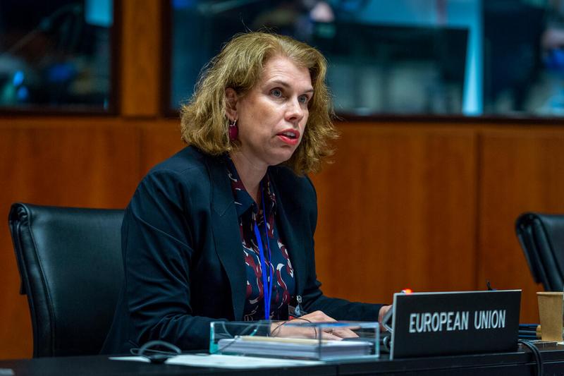 Intervention by H.E. Ms. Alexandra Valkenburg, Ambassador and Permanent Representative of the European Union. Photo: WFP/Giulio d'Adamo