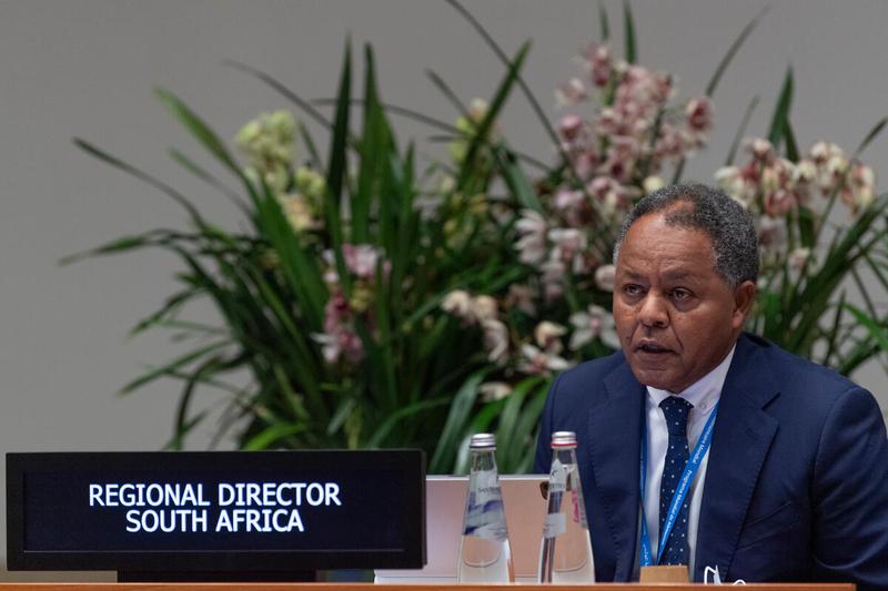 Menghestab Haile, Regional Director for Southern Africa, delivers his presentation to the Executive Board. Photo: WFP/Rein Skullerud