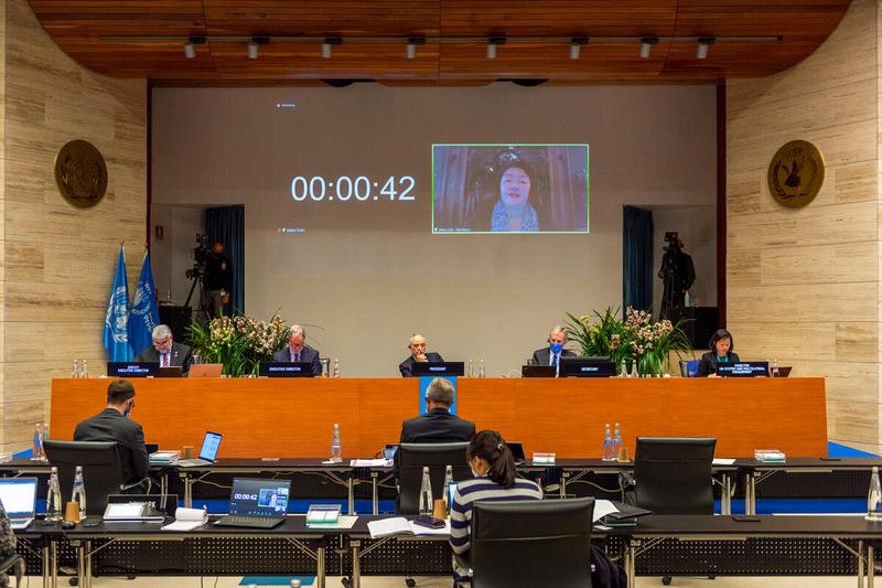 Intervention by Ms. Mia Beers, Acting Office Director, Global Policy, Partnerships, Programs and Communications, Bureau for Humanitarian Assistance, USAID - (connected remotely). Photo: WFP/Giulio d'Adamo