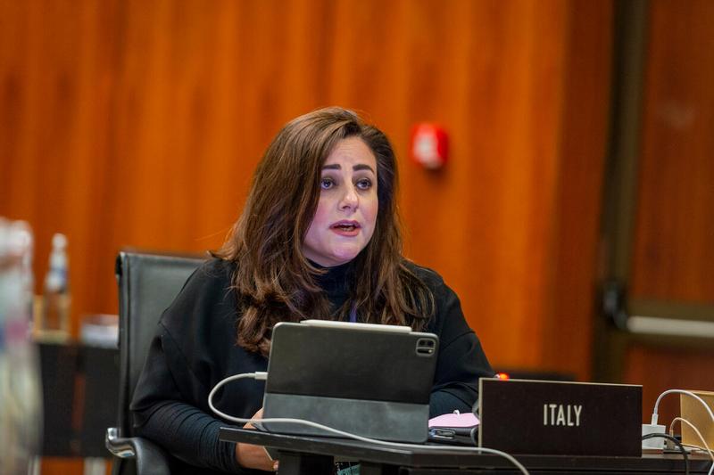 Intervention by H.E. Ms. Stefania Costanza, First Counsellor and Deputy Perm Rep of Italy. Photo: WFP/Giulio d'Adamo