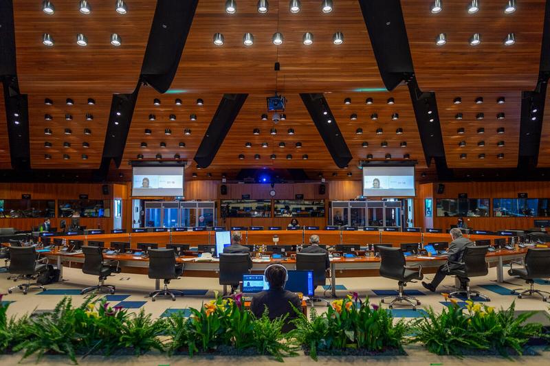 Intervention by Ms. Wanja Kaaria, WFP Country Director in Cameroon - (connected remotely). Photo: WFP/Giulio d'Adamo