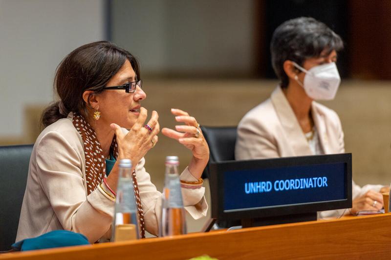 Intervention by Ms. Marta Laurienzo, UNHRD Network Coordinator. "Group of Friends of the United Nations Humanitarian Response Depot" side event on the margins of the Annual Session of the Executive Board 2022 - Photo: WFP/Giulio d'Adamo