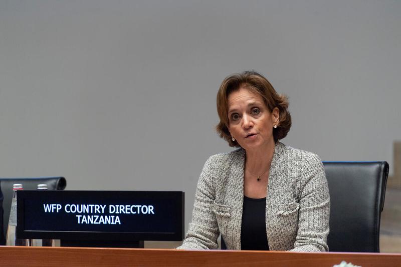 Southern Africa Portfolio  Presentation by Ms. Sarah Gordon-Gibson, WFP Country Director Tanzania  Photo: Rein Skullerud