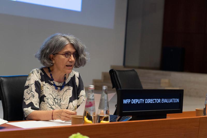 Southern Africa Portfolio  Presentation by Ms. Anne-Claire Luzot, Deputy Director of Evaluation  Photo: Rein Skullerud