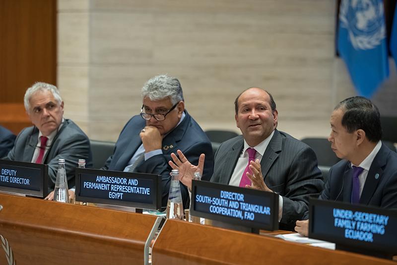 Photo Credit: Massimo Tartaglia