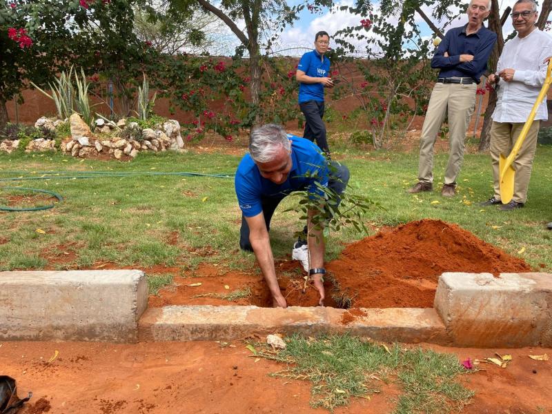 Sundus farm. Photo: WFP/Zaid Abbasi